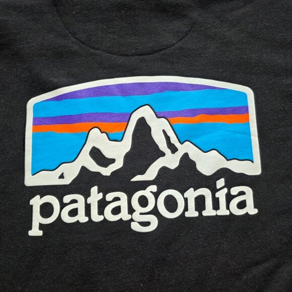 Patagonia Black Hoodie - Picture 8 of 8